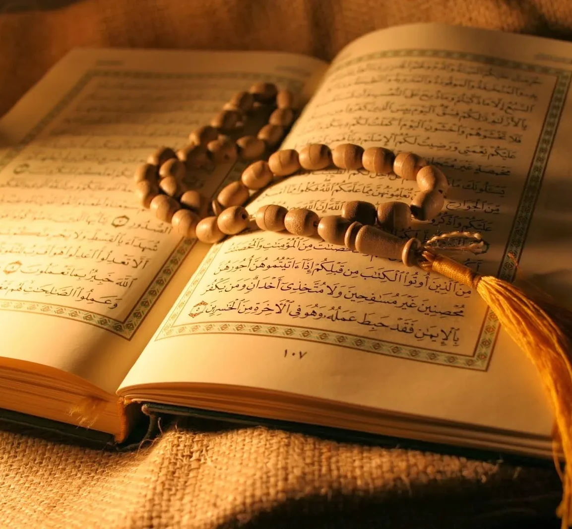 constructions en maçonnerie